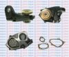 AQUAPLUS 85-1610 Water Pump